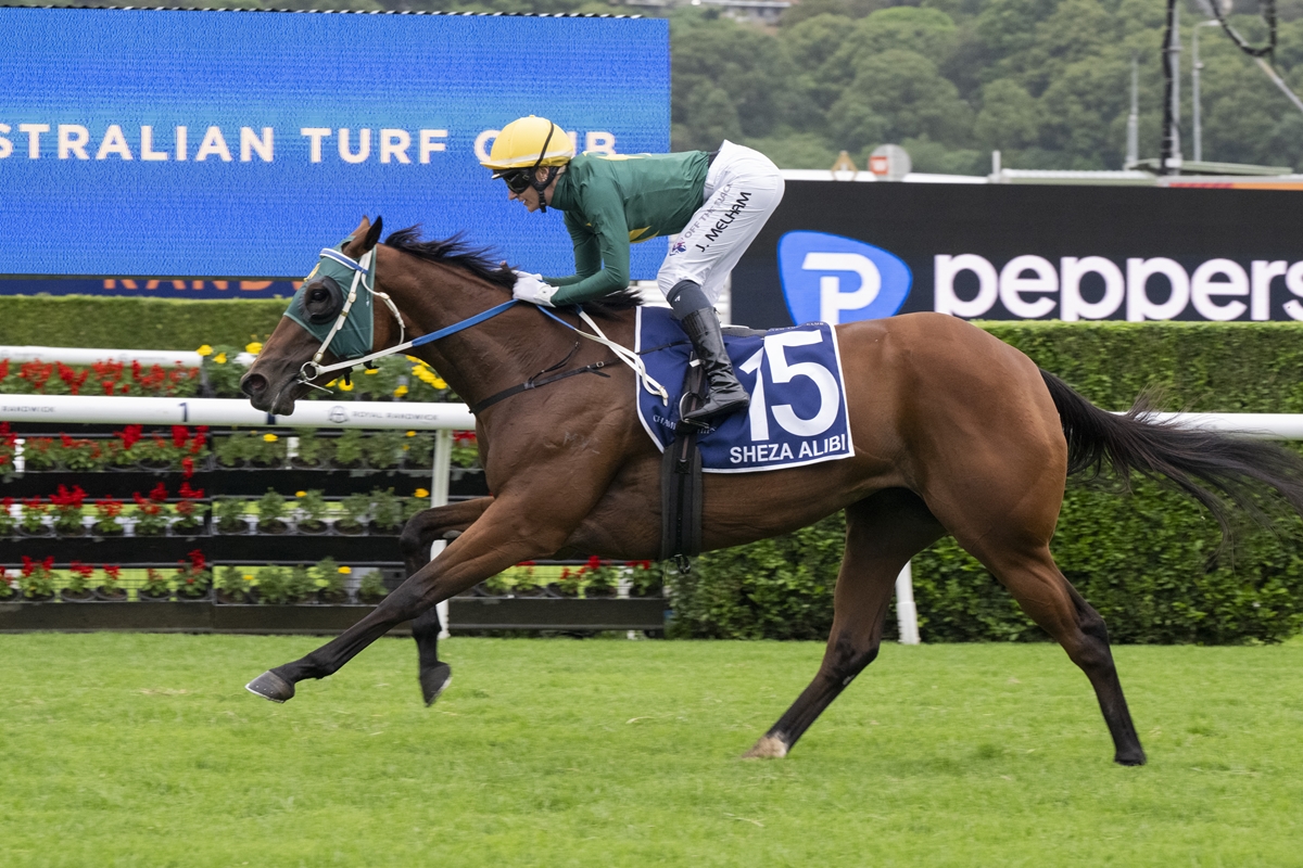 Racehorse with jockey in green jacket and yellow cap, number 15 saddle cloth reading 'SHEZA ALIBI', sprinting on a turf track.