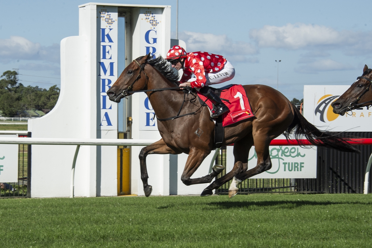Brown thoroughbred and jockey in red polka-dot silks sprint on a green racecourse with sponsor signs in the background.