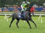 Grey racehorse wearing a red hood and blue number-2 saddle cloth, jockey in green and yellow silks on a grassy track under race banners.