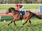 Jockey in a red helmet and plaid shirt rides a brown racehorse at full gallop on a grassy track with white railings nearby on a sunny day