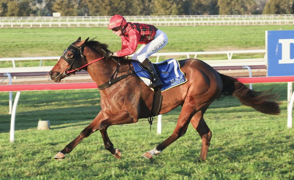 Jockey in a red helmet and plaid shirt rides a brown racehorse at full gallop on a grassy track with white railings nearby on a sunny day
