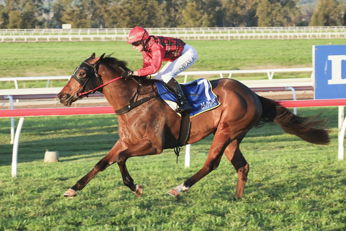 Jockey in a red helmet and plaid shirt rides a brown racehorse at full gallop on a grassy track with white railings nearby on a sunny day