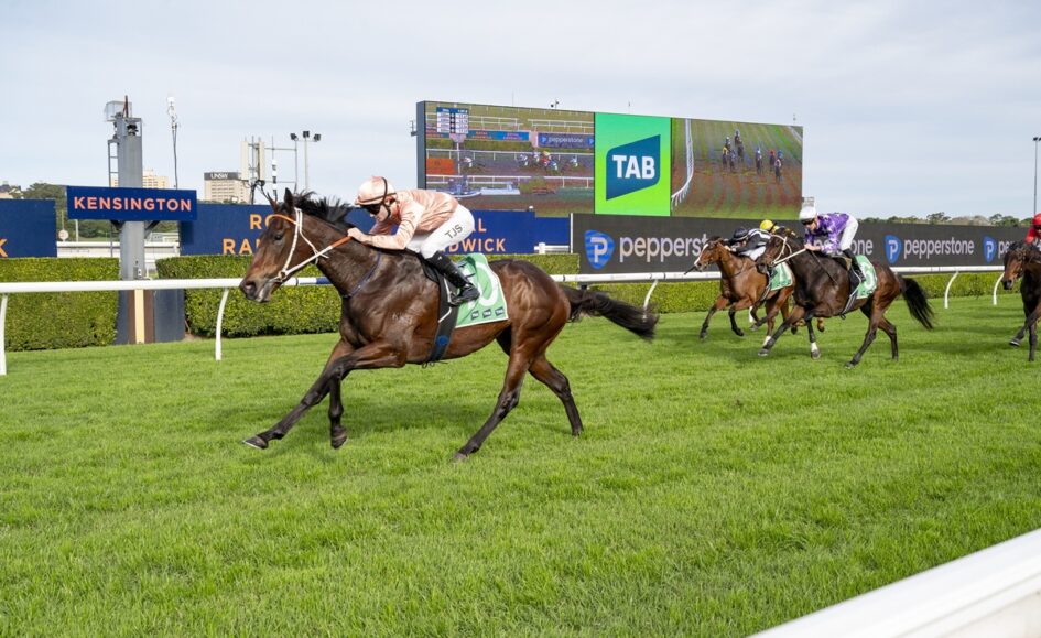 A brown racehorse with a jockey in peach silks leads a photo finish on a green turf track, with a large digital scoreboard in the background reading TAB and spectators off to the side.