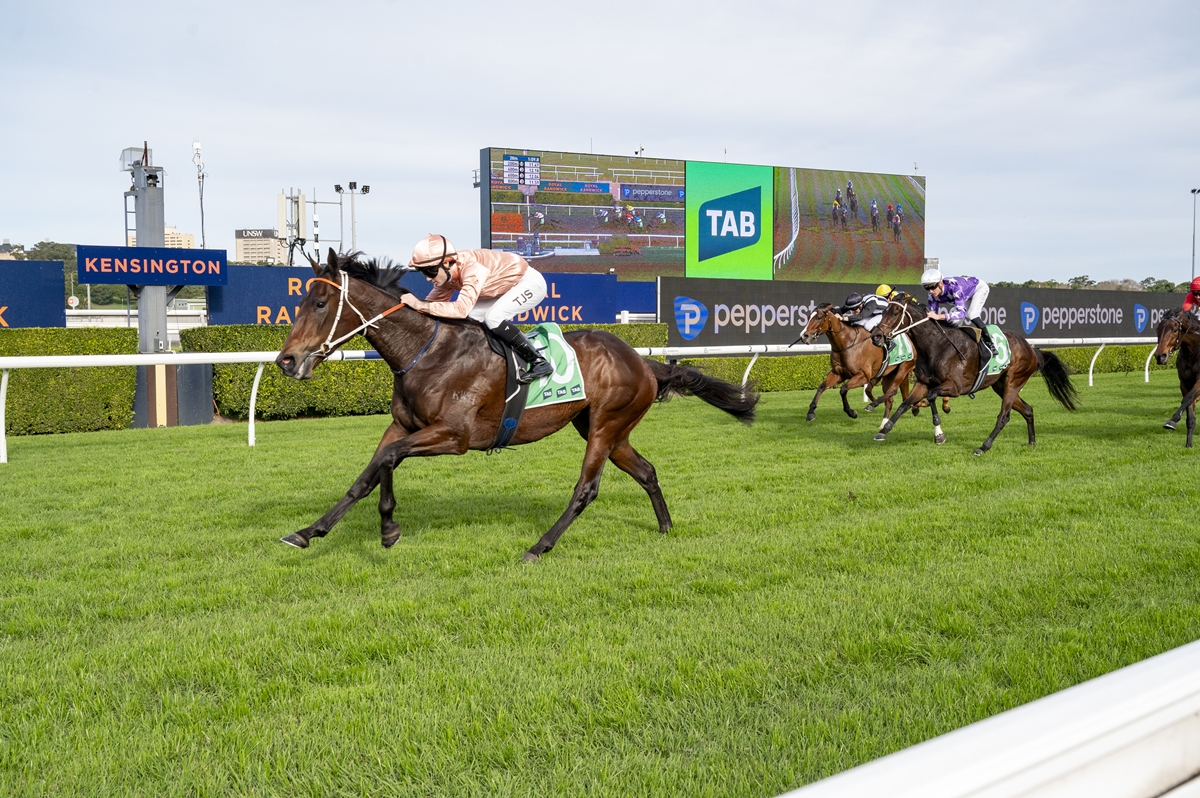 A brown racehorse with a jockey in peach silks leads a photo finish on a green turf track, with a large digital scoreboard in the background reading TAB and spectators off to the side.