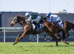 Two racehorses neck-and-neck during a sunny horse race as jockeys urge them on from the saddle.
