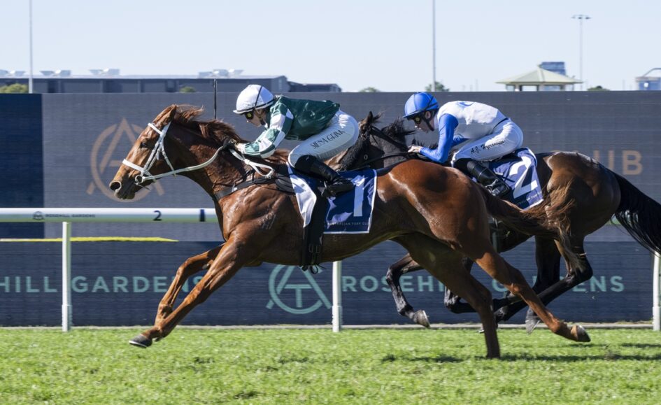 Two racehorses neck-and-neck during a sunny horse race as jockeys urge them on from the saddle.