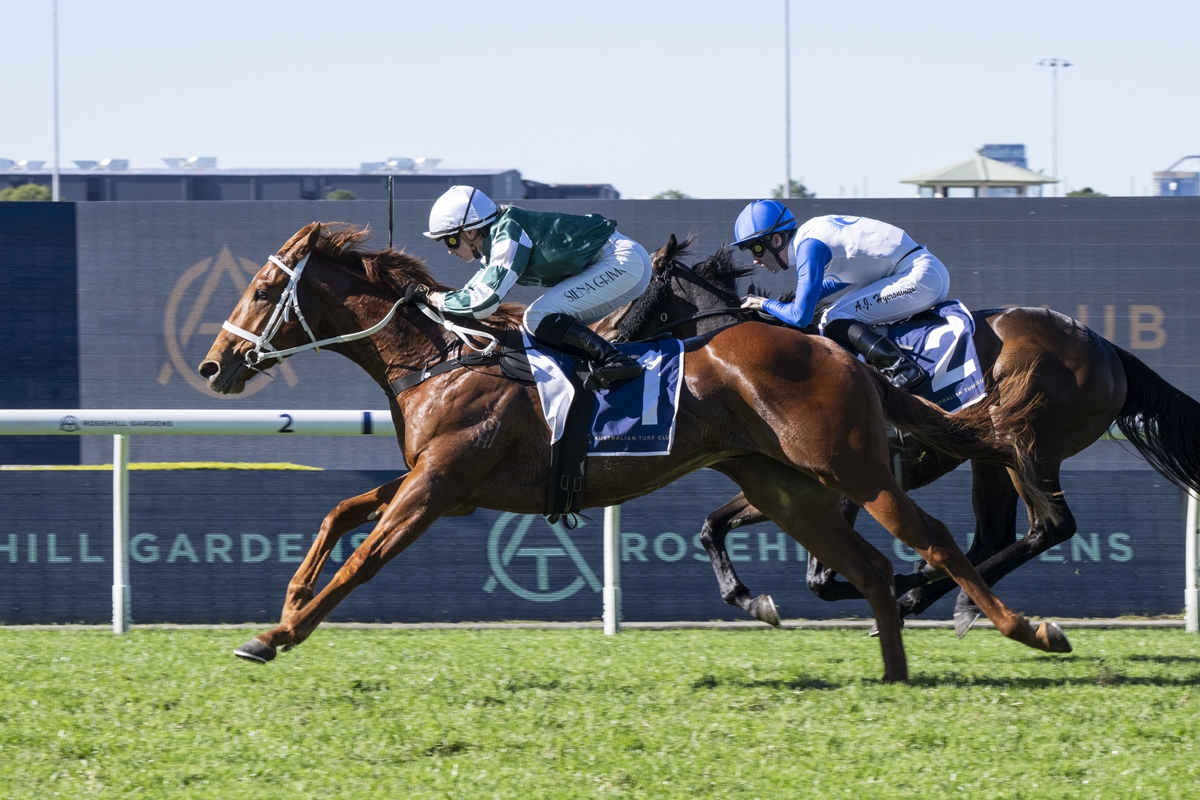 Two racehorses neck-and-neck during a sunny horse race as jockeys urge them on from the saddle.