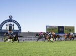 Horse race in progress at Rosehill Gardens, jockeys in colorful silks ride toward the right on a green track with a large Rosehill Gardens sign in the background.