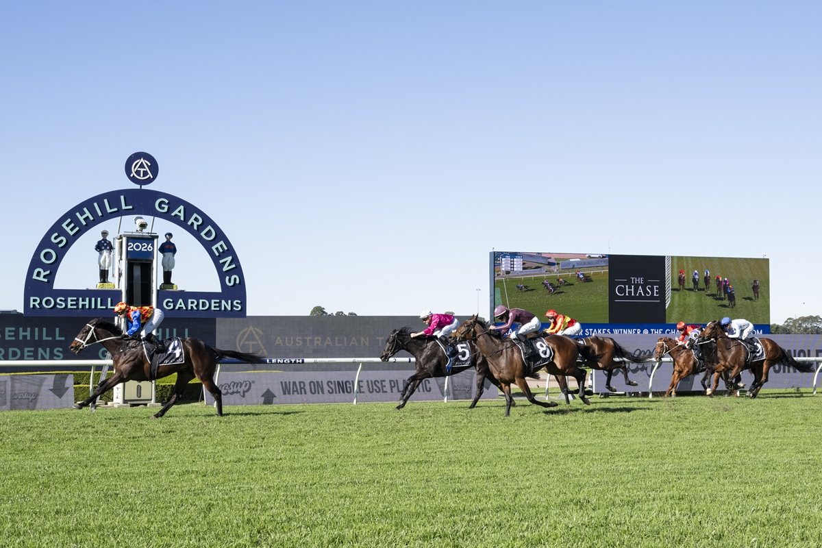 Horse race in progress at Rosehill Gardens, jockeys in colorful silks ride toward the right on a green track with a large Rosehill Gardens sign in the background.