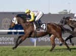 Jockey in yellow helmet and white-and-yellow silks rides a dark brown racehorse with the number 4 saddlecloth during a race on a grassy track, another horse close behind.