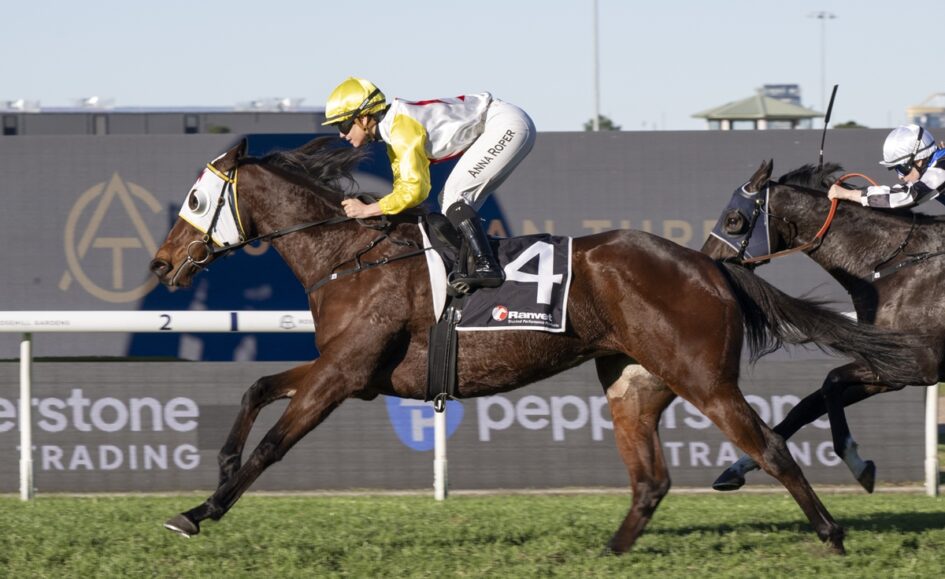 Jockey in yellow helmet and white-and-yellow silks rides a dark brown racehorse with the number 4 saddlecloth during a race on a grassy track, another horse close behind.
