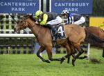 Two jockeys ride a galloping horse with number 4 at Canterbury Park on a green turf track, closely pursued by another horse and rider.