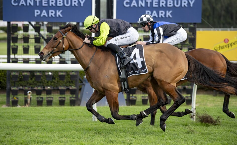 Two jockeys ride a galloping horse with number 4 at Canterbury Park on a green turf track, closely pursued by another horse and rider.