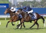 Two jockeys in blue and white silks ride brown racehorses neck and neck on a green turf track, number 3 visible on the nearer horse’s cloth.