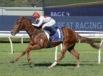 Chestnut racehorse with jockey in white silks and red helmet, number 1, sprinting on a turf racecourse.