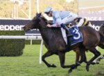 Jockey in light-blue silks rides a dark horse wearing a blue number 3 saddlecloth during a horse race on a green turf track.