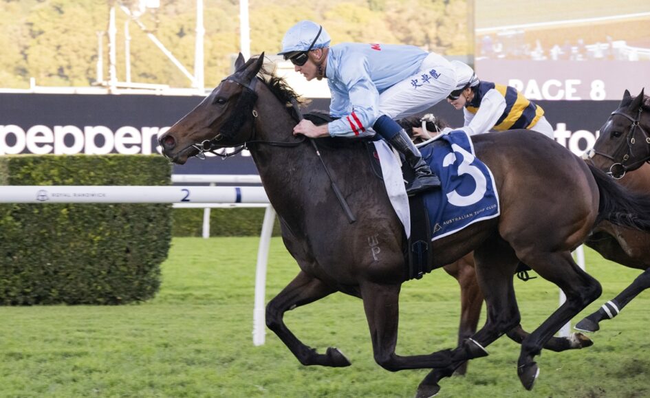 Jockey in light-blue silks rides a dark horse wearing a blue number 3 saddlecloth during a horse race on a green turf track.