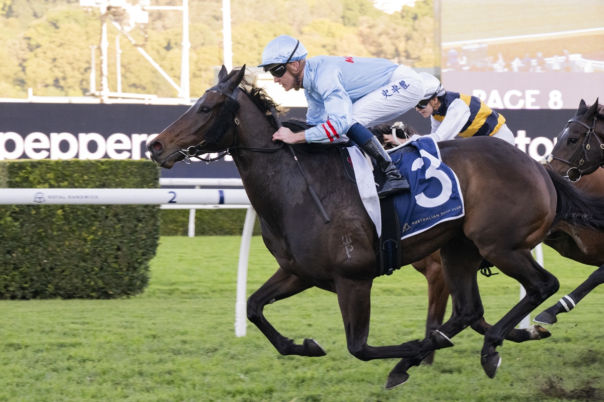 Jockey in light-blue silks rides a dark horse wearing a blue number 3 saddlecloth during a horse race on a green turf track.