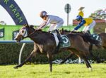 Two jockeys race on galloping horses along a sunny grass track, leading horse wearing a number 5 saddlecloth.