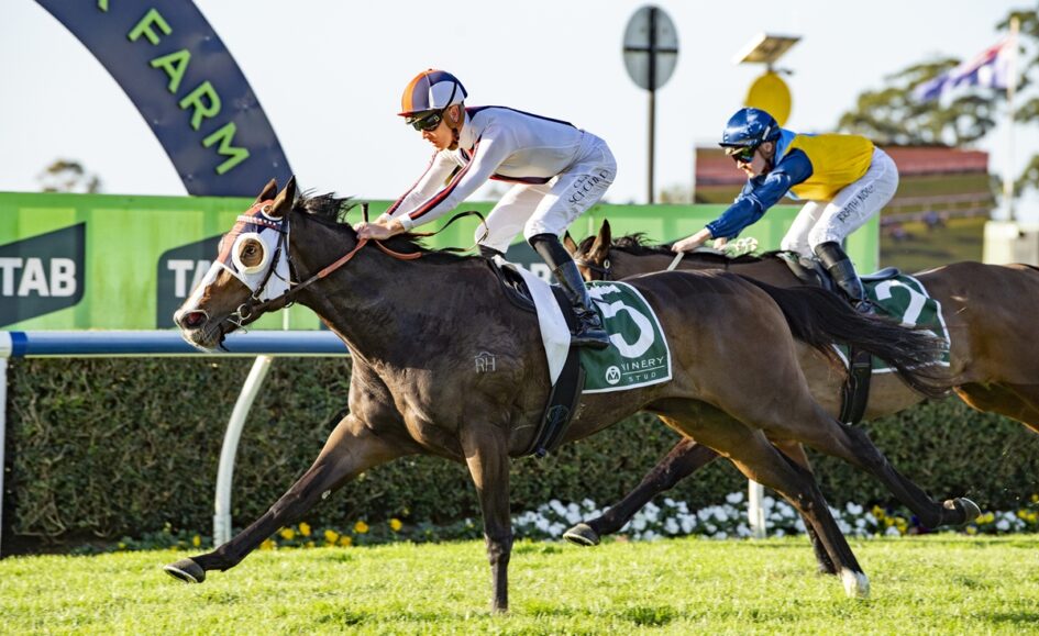 Two jockeys race on galloping horses along a sunny grass track, leading horse wearing a number 5 saddlecloth.