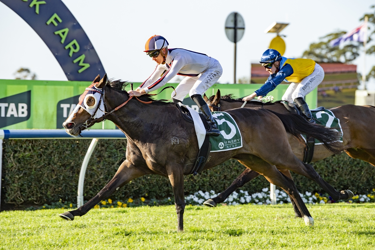Two jockeys race on galloping horses along a sunny grass track, leading horse wearing a number 5 saddlecloth.