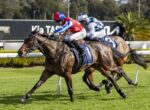 Two jockeys race side by side on galloping horses on a green racetrack with a white rail in the foreground, blurred stands in the background.
