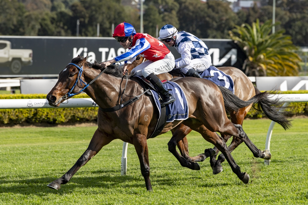 Two jockeys race side by side on galloping horses on a green racetrack with a white rail in the foreground, blurred stands in the background.