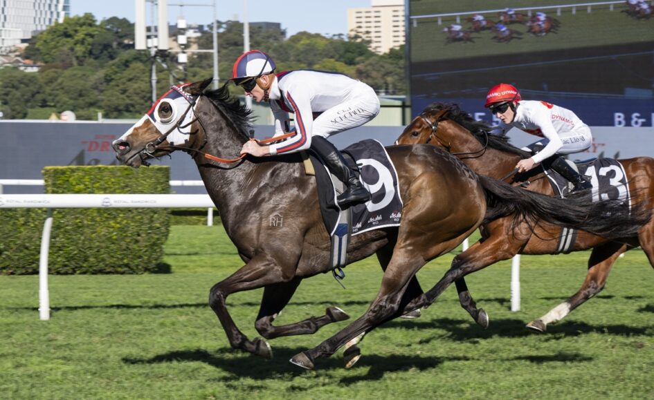 Two jockeys race their horses on a sunny turf track; the lead gray horse wears a white hood while the trailing bay horse bears the number 13 saddle cloth.