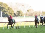 Leader horse with red polka-dot silks races along a grassy turf track, other jockeys close behind on a sunny day.