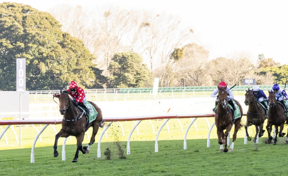 Leader horse with red polka-dot silks races along a grassy turf track, other jockeys close behind on a sunny day.