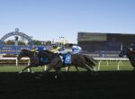 Thoroughbred horses racing on a sunny turf track at Royal Randwick, jockeys in bright silks near the finish line with a large scoreboard behind them.