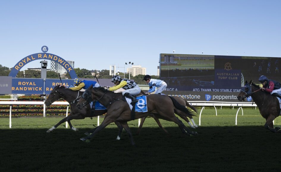 Thoroughbred horses racing on a sunny turf track at Royal Randwick, jockeys in bright silks near the finish line with a large scoreboard behind them.