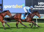 Horse race at Caulfield: front horse in blue silks wearing number 2 saddlecloth, jockey leaning forward as rivals race behind, with 'sportsbet' sign in background.