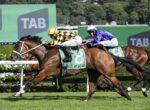 Two jockeys lean forward on galloping brown horses during a TAB-sponsored race with green barriers in the background.