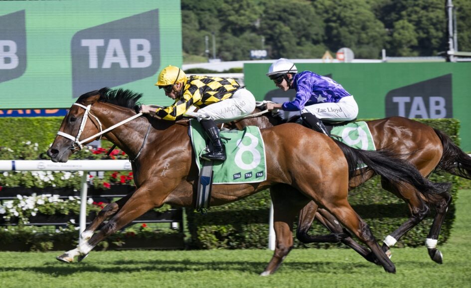 Two jockeys lean forward on galloping brown horses during a TAB-sponsored race with green barriers in the background.