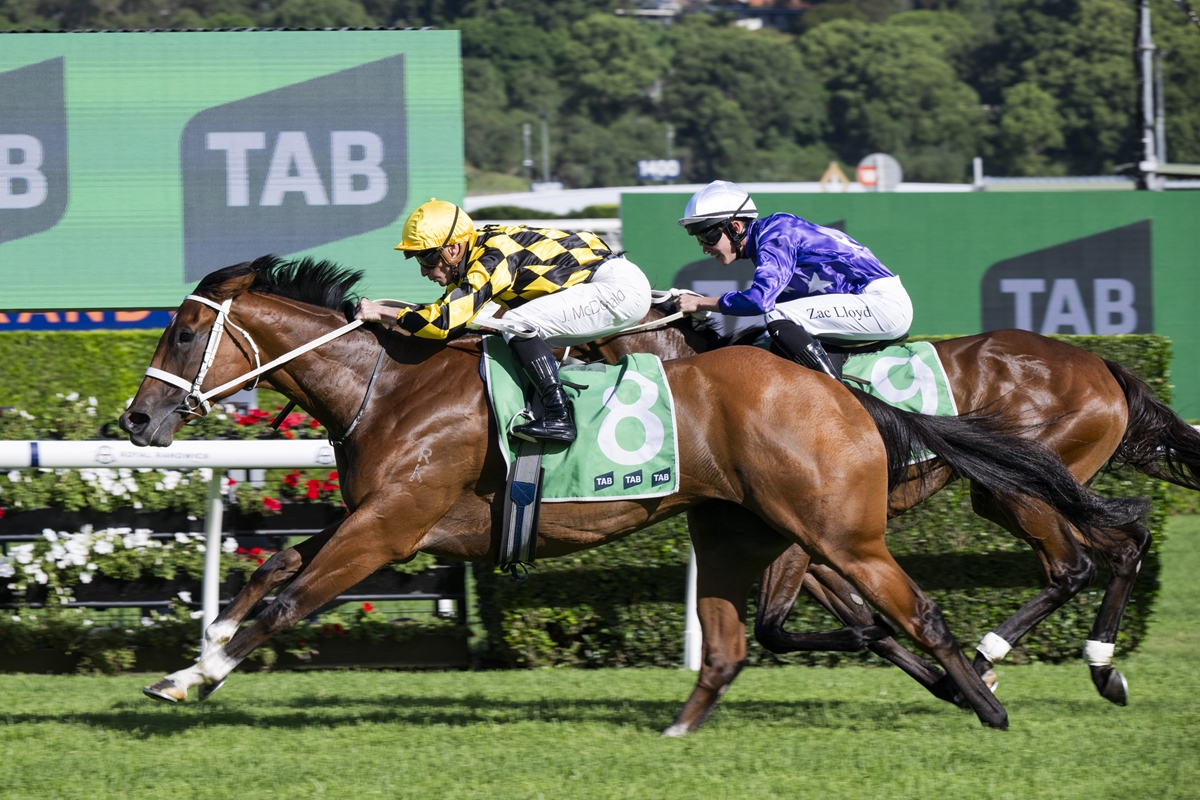 Two jockeys lean forward on galloping brown horses during a TAB-sponsored race with green barriers in the background.