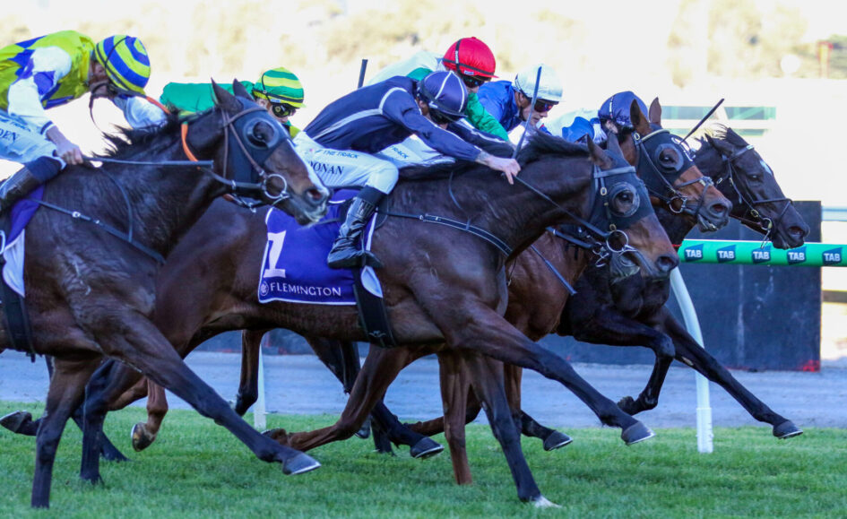Group of thoroughbreds and jockeys in colorful silks sprinting neck-and-neck on a grass horse-race track at Flemington, with rails in the background.