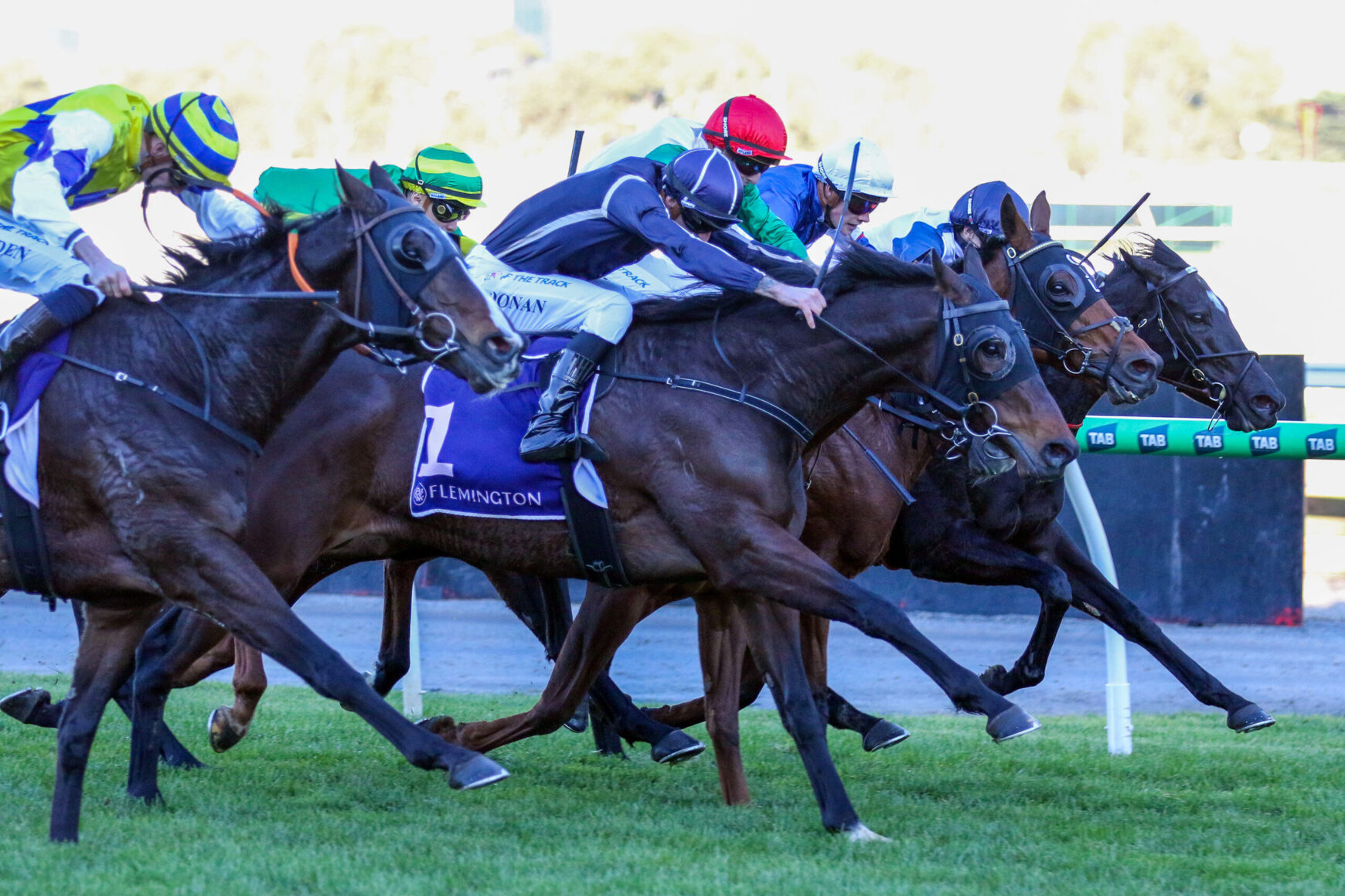 Group of thoroughbreds and jockeys in colorful silks sprinting neck-and-neck on a grass horse-race track at Flemington, with rails in the background.