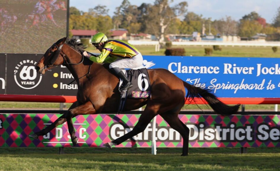 Jockey in lime-green and purple silks riding a brown horse mid-jump at a race track, #6 on the saddle pad with banners in background.
