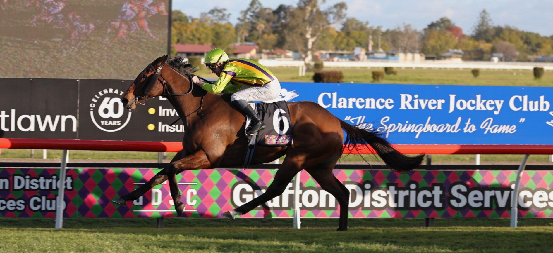 Jockey in lime-green and purple silks riding a brown horse mid-jump at a race track, #6 on the saddle pad with banners in background.
