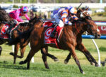 Two jockeys in bright silks race their brown horses on a grassy track, leaning forward in a high-speed sprint.