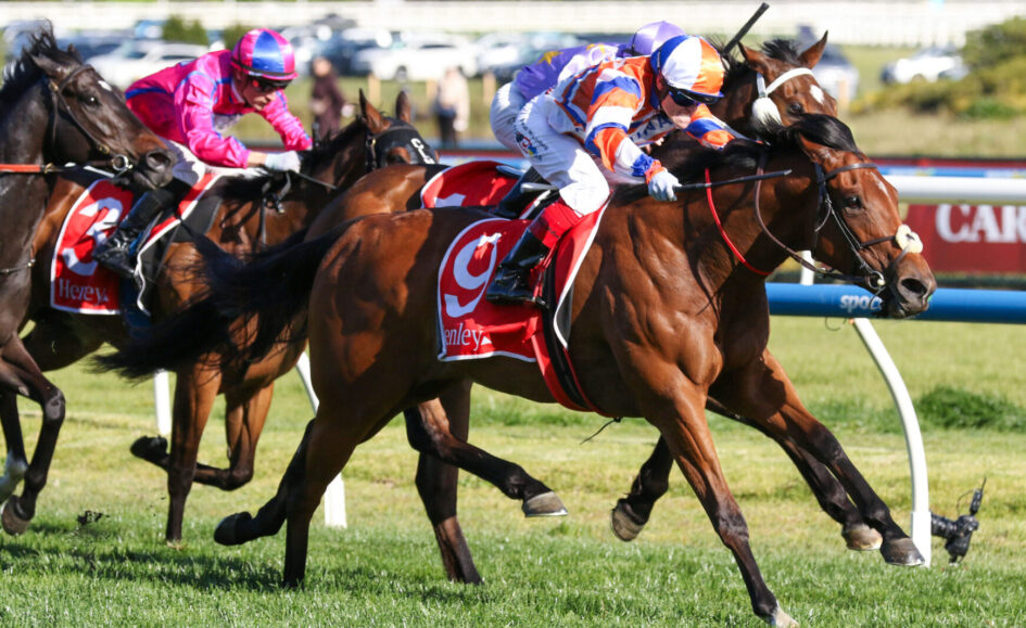Two jockeys in bright silks race their brown horses on a grassy track, leaning forward in a high-speed sprint.