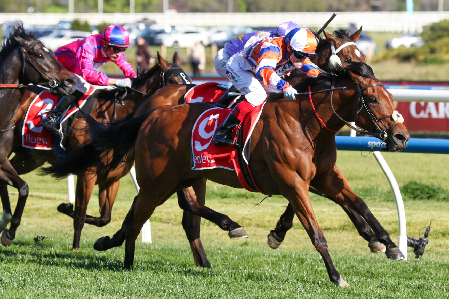 Two jockeys in bright silks race their brown horses on a grassy track, leaning forward in a high-speed sprint.