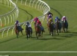 Eight horses and jockeys in colorful silks race along a curved turf track with white rails in view, mid-turn action beneath a sunny sky.