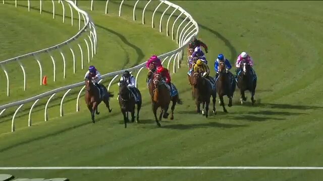 Eight horses and jockeys in colorful silks race along a curved turf track with white rails in view, mid-turn action beneath a sunny sky.