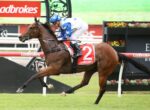 Jockey in blue star silks rides a bay horse over a hurdle at a Ladbrokes-race event