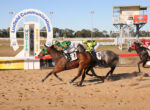 Horse racing at a dirt track with three galloping horses and jockeys in colorful silks, the Luxfield Communications arch in the background.