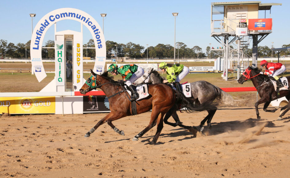 Horse racing at a dirt track with three galloping horses and jockeys in colorful silks, the Luxfield Communications arch in the background.
