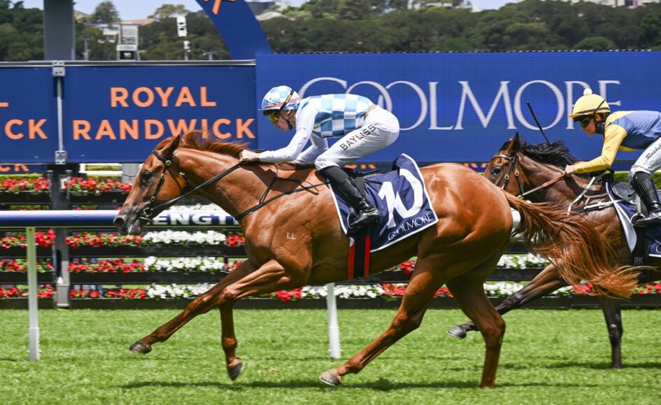 Two jockeys ride thoroughbreds in a close race on a green track, with blue sponsor banners reading Royal Randwick in the background.