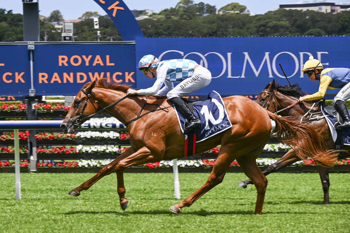 Two jockeys ride thoroughbreds in a close race on a green track, with blue sponsor banners reading Royal Randwick in the background.